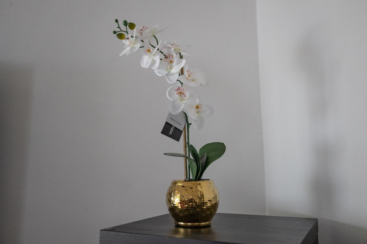 London - 4 Bed - Sleeps 8 - Garden - Pet Friendly别墅 外观 照片